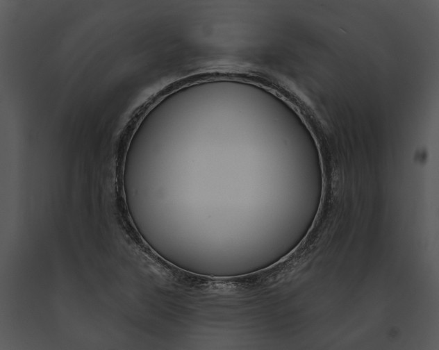 X0000091191315200708301229