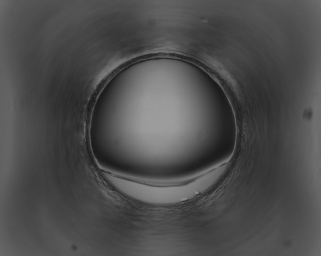 X0000091191316200708301229