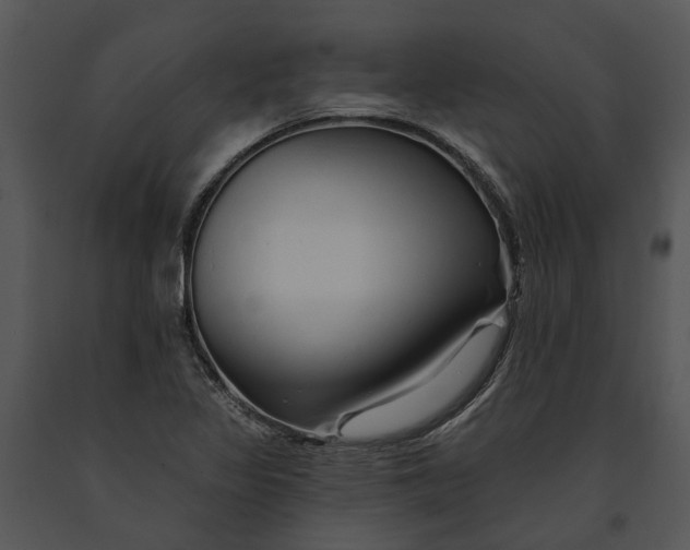 X0000091191317200708301229