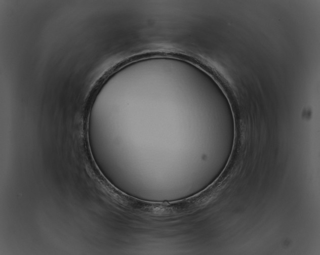 X0000091191318200708301229