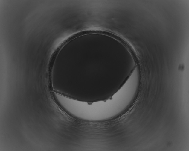 X0000091191319200708301229