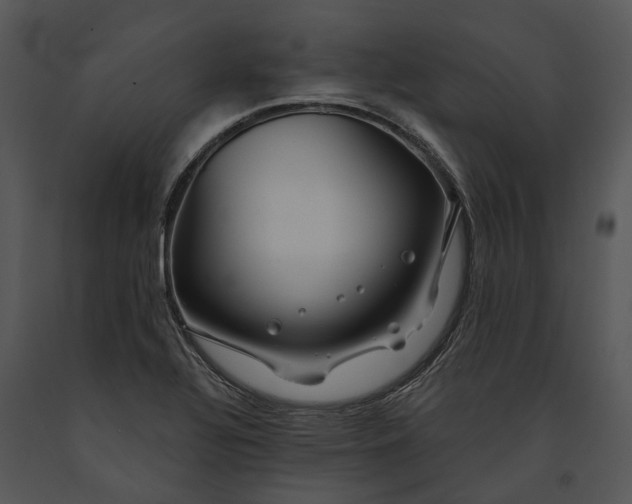 X0000091191320200708301229