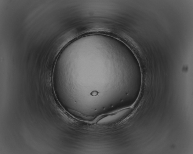 X0000091191321200708301229