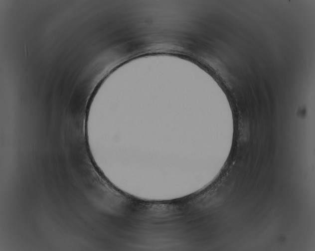 X0000091191322200708301229