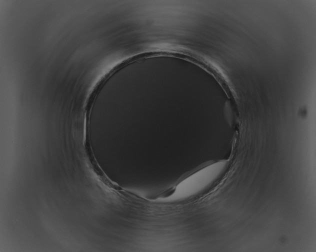 X0000091191323200708301229