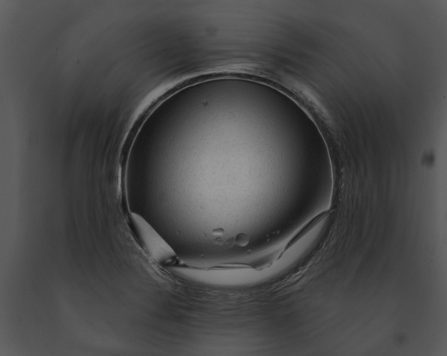 X0000091191324200708301229