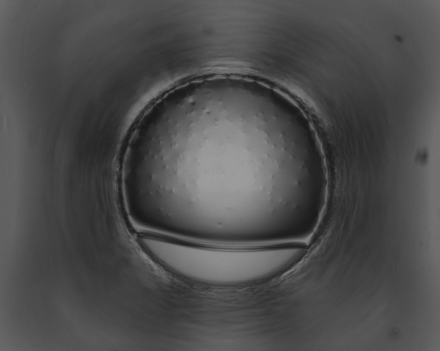 X0000091191325200708301229