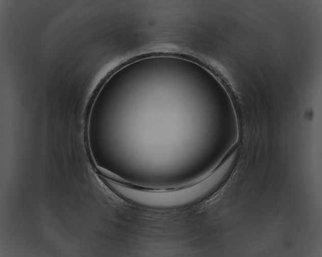 X0000091191326200708301229