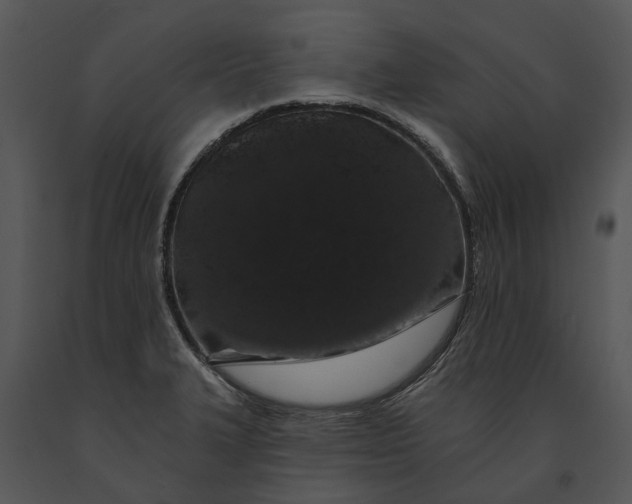 X0000091191327200708301229