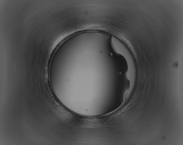 X0000091191328200708301229