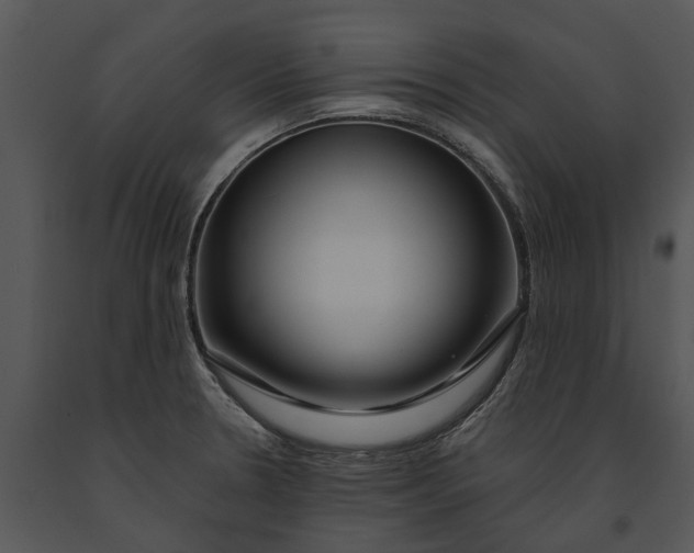 X0000091191330200708301229