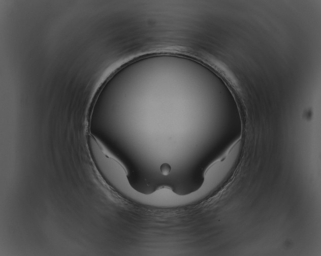 X0000091191332200708301229