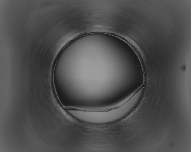 X0000091191333200708301229