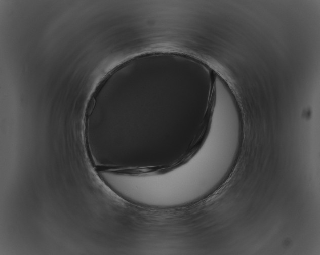 X0000091191334200708301229