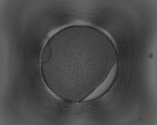 X0000091191335200708301229