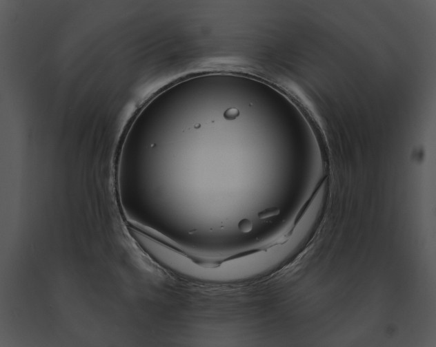 X0000091191336200708301229