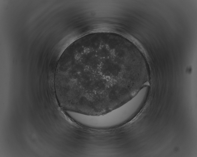 X0000091191337200708301229