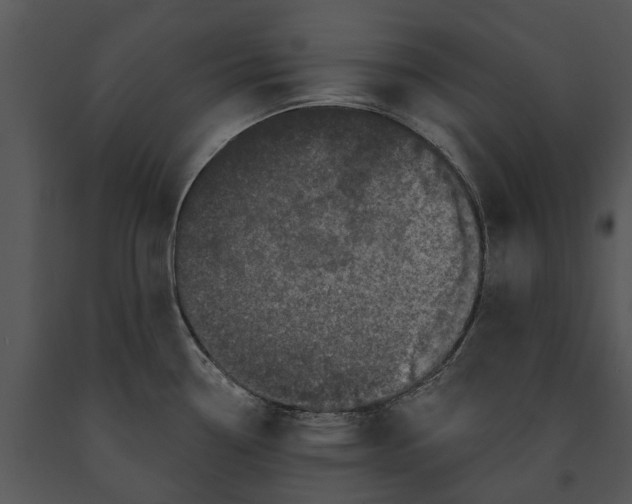 X0000091191338200708301229