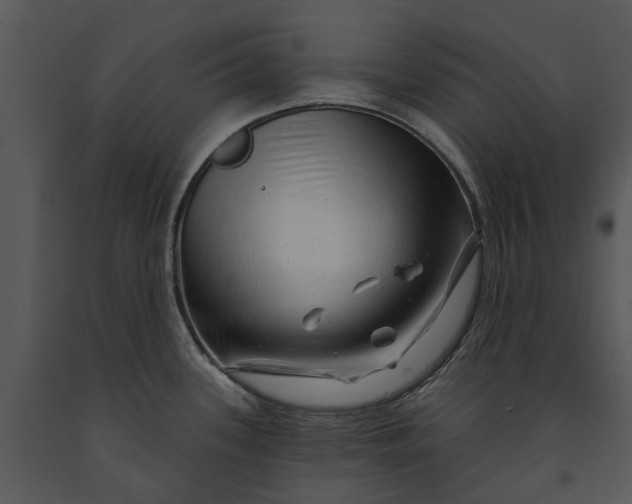 X0000091191339200708301229