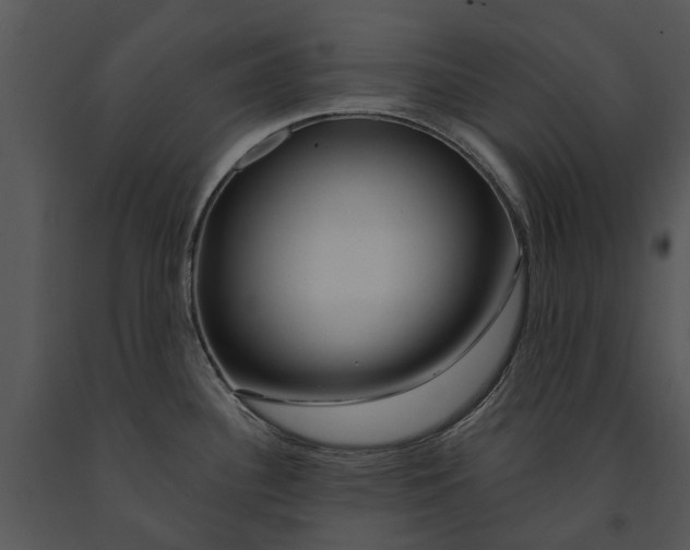 X0000091191340200708301229