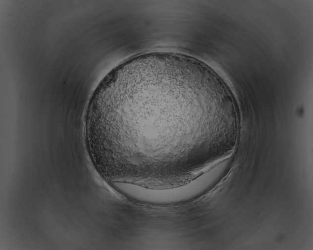 X0000091191341200708301229