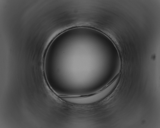 X0000091191342200708301229