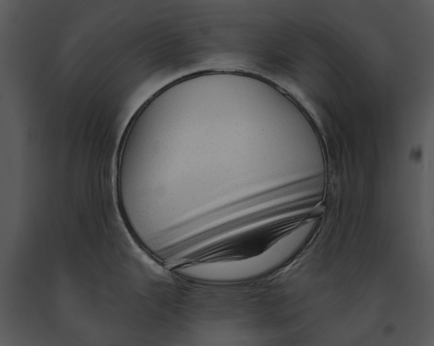 X0000091191343200708301229