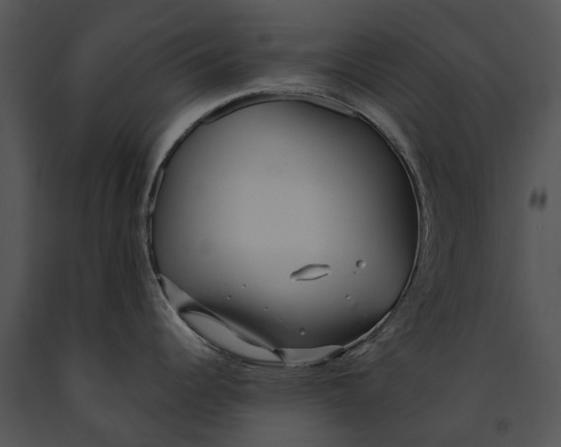 X0000091191344200708301229