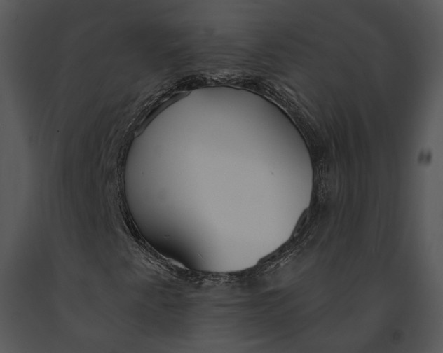 X0000091191345200708301228