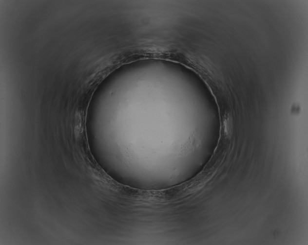 X0000091191347200708301228