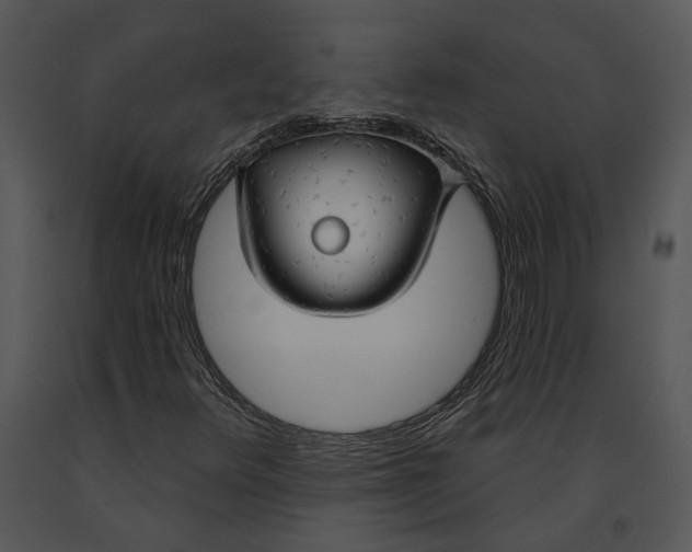 X0000091191348200708301228