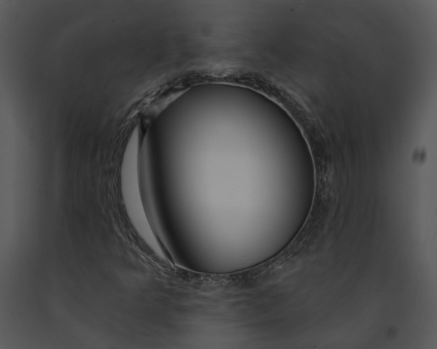 X0000091191349200708301228