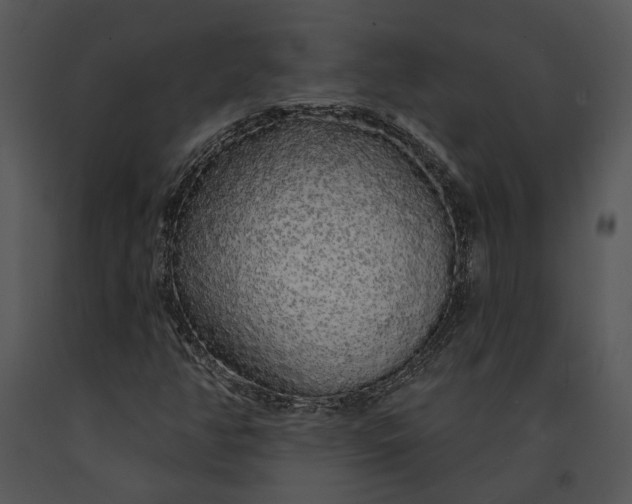 X0000091191350200708301228