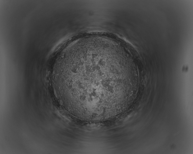 X0000091191351200708301228