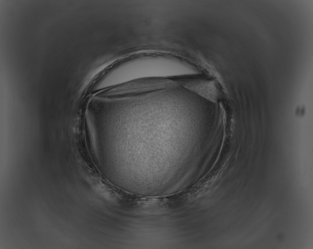 X0000091191352200708301228