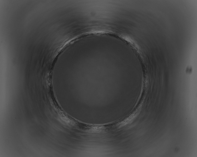 X0000091191353200708301228