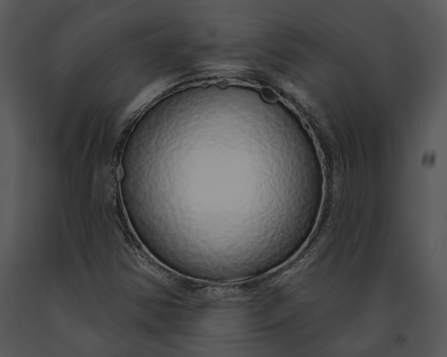 X0000091191354200708301228