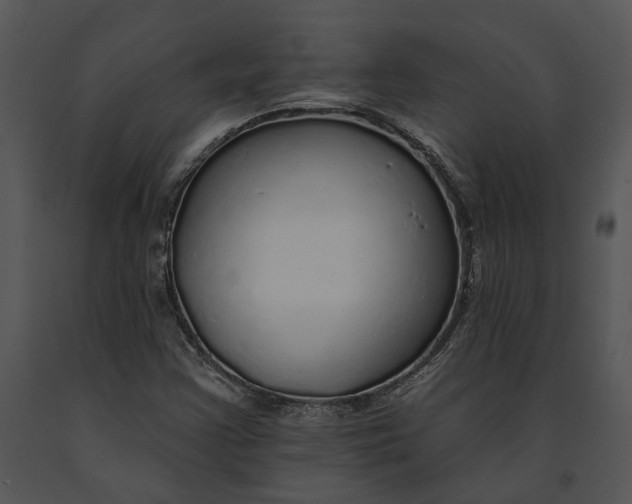 X0000091191355200708301228