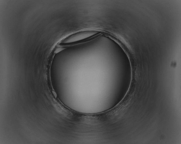 X0000091191356200708301228