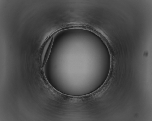 X0000091191357200708301228