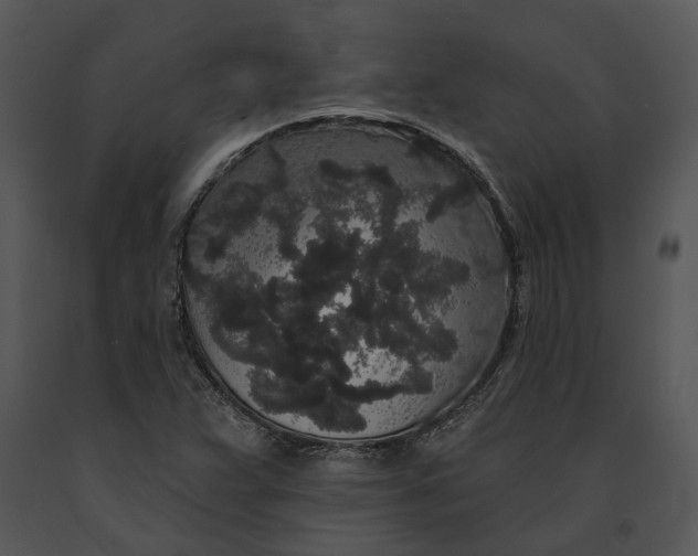 X0000091191359200708301228