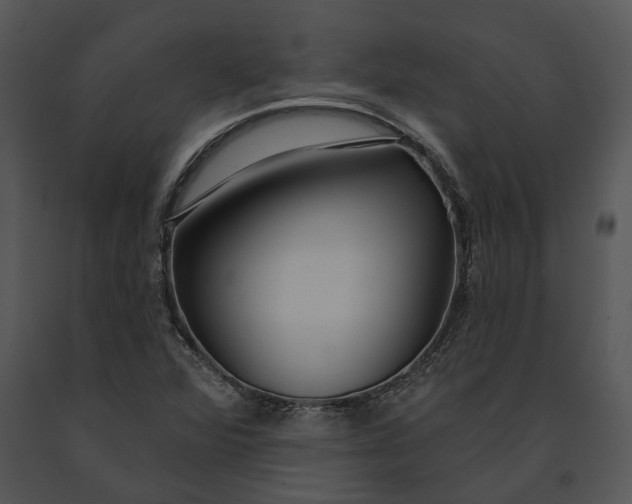 X0000091191360200708301228