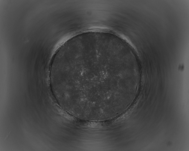 X0000091191362200708301228