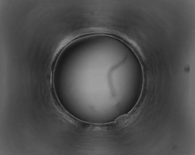 X0000091191365200708301228