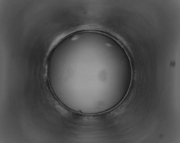 X0000091191366200708301228