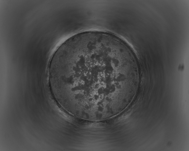 X0000091191367200708301228