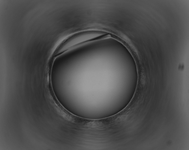 X0000091191368200708301228