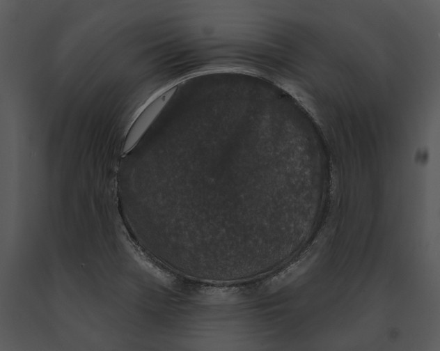 X0000091191369200708301228