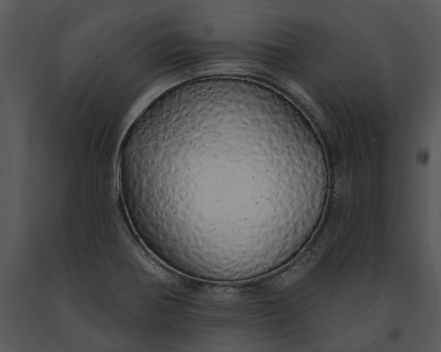 X0000091191370200708301228