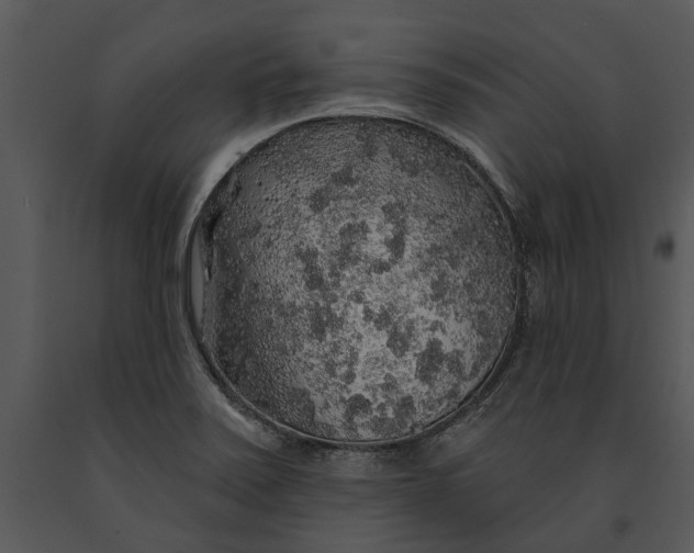 X0000091191371200708301228